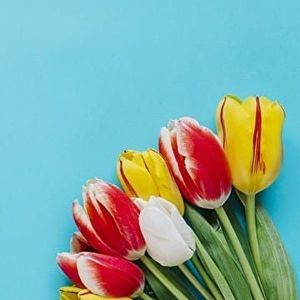 Meet your Posher, Ksusha